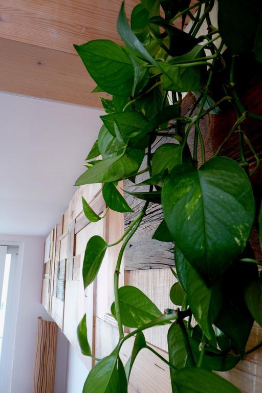 كالسرانيكا ال لاغو B&B Casa Sul Lago - Appartamenti الغرفة الصورة