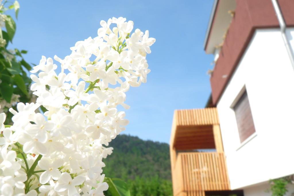 كالسرانيكا ال لاغو B&B Casa Sul Lago - Appartamenti الغرفة الصورة