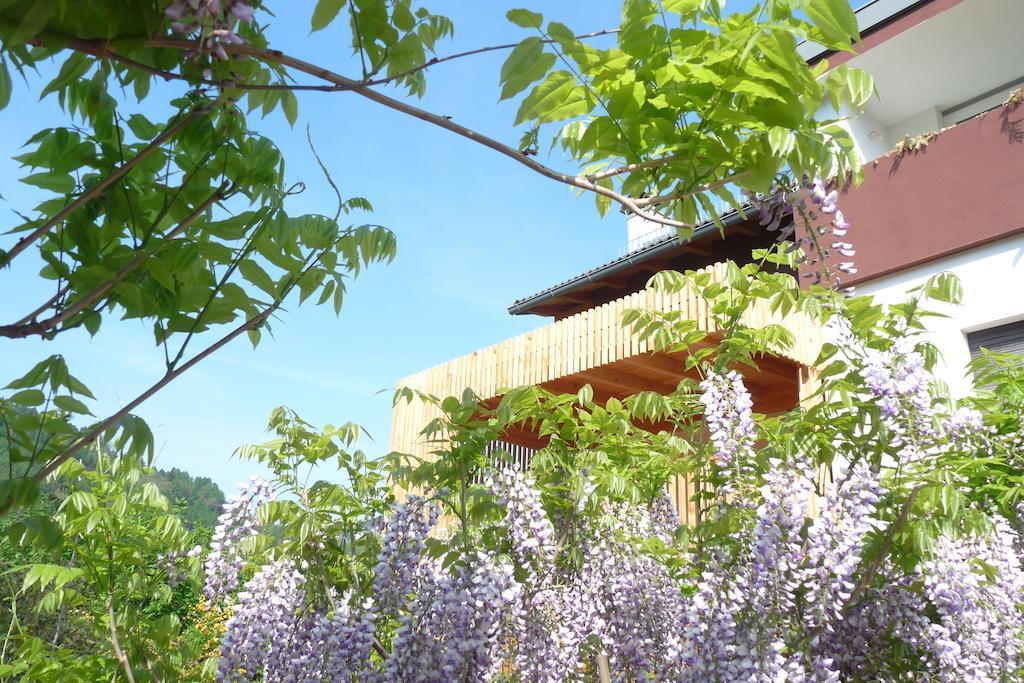 كالسرانيكا ال لاغو B&B Casa Sul Lago - Appartamenti المظهر الخارجي الصورة