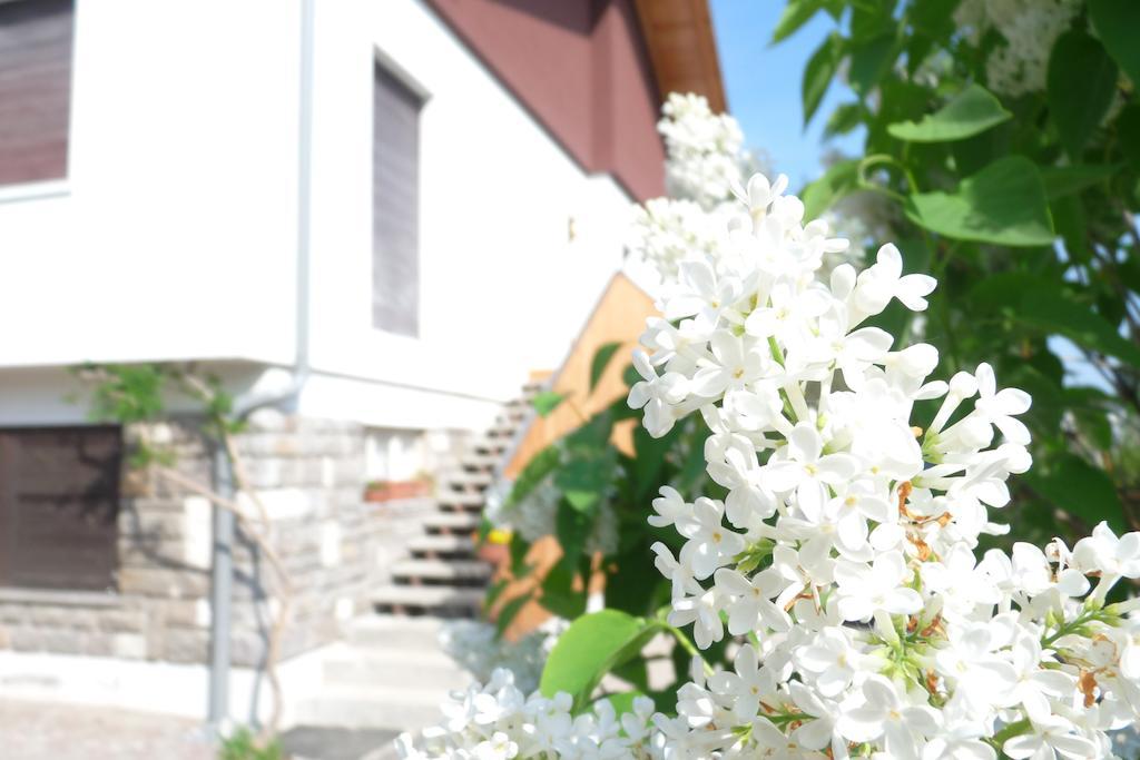 كالسرانيكا ال لاغو B&B Casa Sul Lago - Appartamenti المظهر الخارجي الصورة